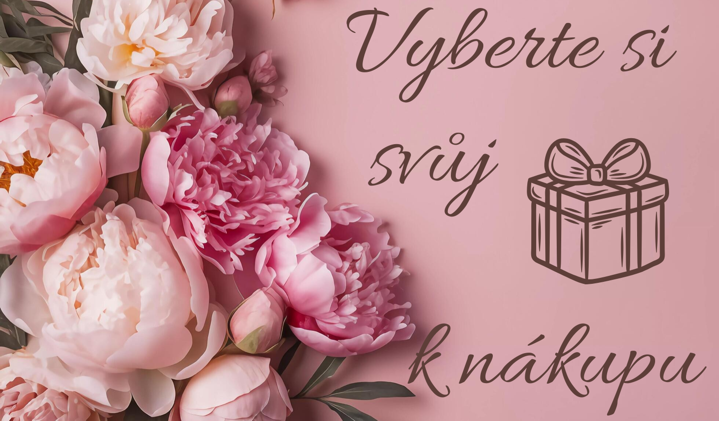 web darek k nakupu cz 2